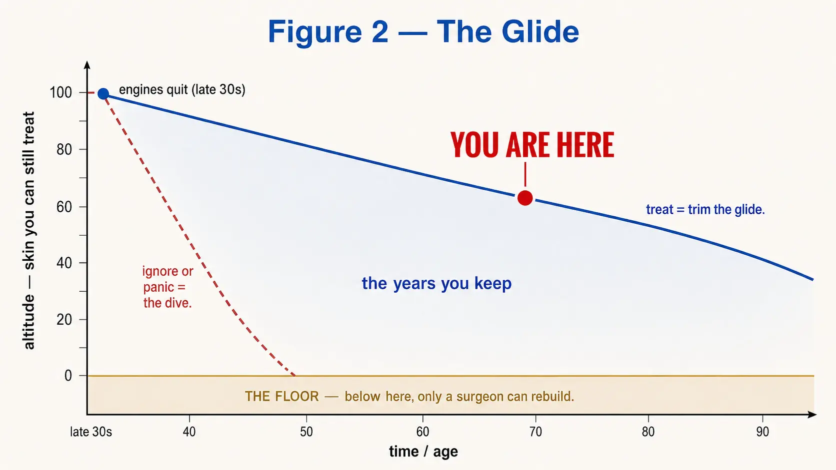 The glide: from late 30s your skin loses altitude either way. Treat it and you trim a long slow glide and keep years; ignore or panic and you dive fast to the floor, where only a surgeon can rebuild.